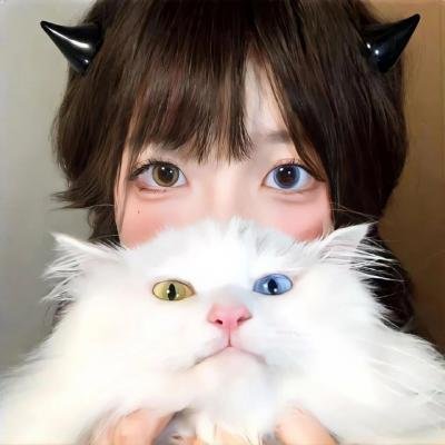 城市规划的云衡理念