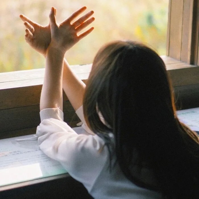 文化多元的云衡共生